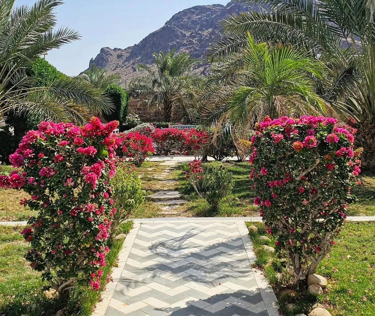 Alloggio per agriturismo Beit Al-Madina Villa Medina Arabia Saudita